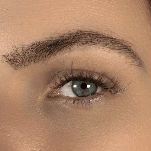 Champagne - Faux cils permanents blond - Wolfy Eye