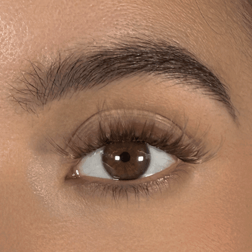 Kit Extension de Cils Maison - Blond - Wolfy Eye
