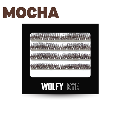 Boîte de 40 grappes de faux cils permanents pour faire des extensions de cils maison - Couleur Marron Mocha