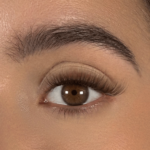 Honey - Faux cils permanents blond