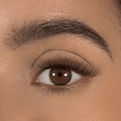 Kit Extension de Cils Maison - Blond - Wolfy Eye