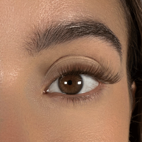 Honey - Faux cils permanents blond