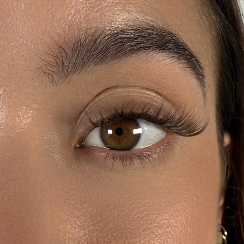 Mocha - Faux cils permanents marron