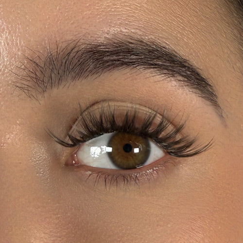 Espresso - Faux cils permanents marron