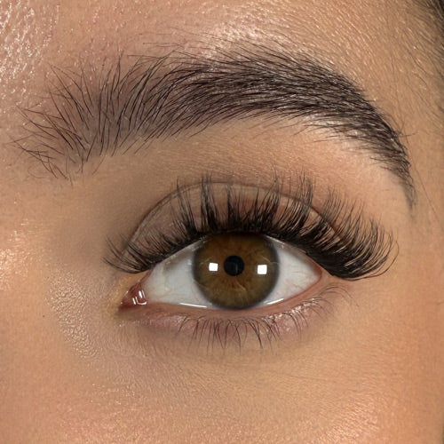 Kitty - Faux cils permanents noir